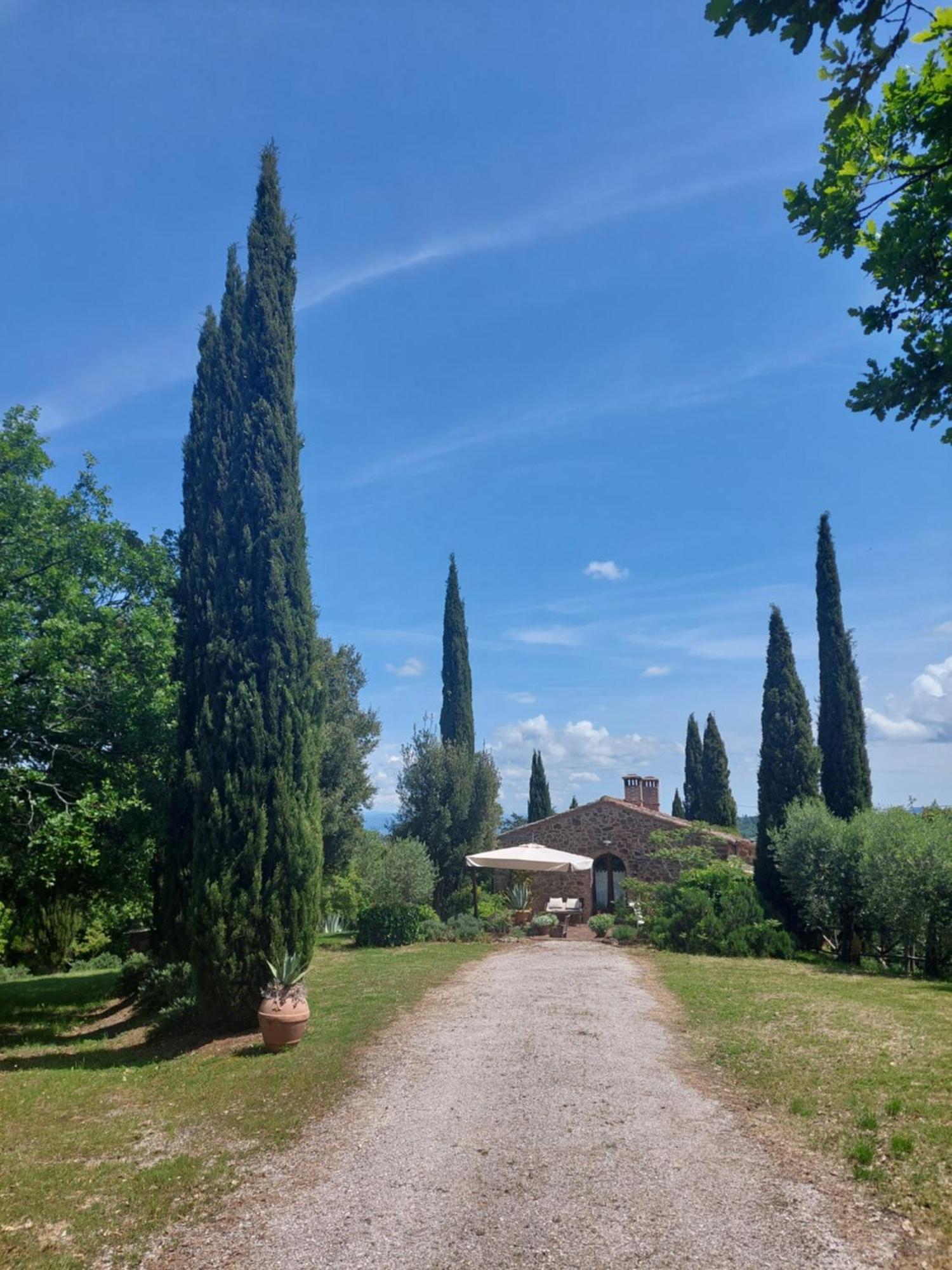 Podere Cerreto Casole dʼElsa Zewnętrze zdjęcie